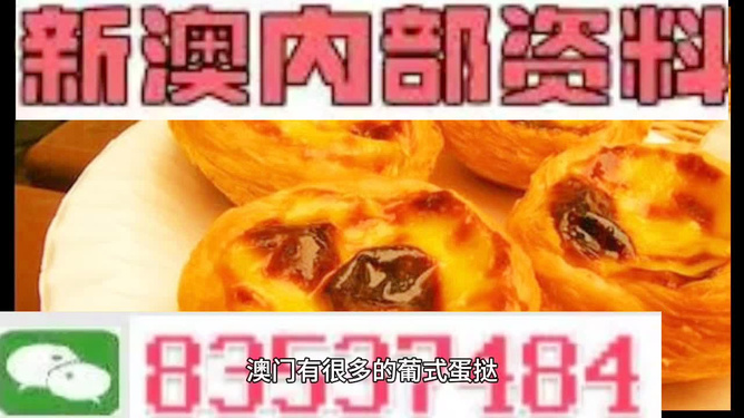 探索未來，2025新澳最新版精準特色解析，探索未來，揭秘新澳最新版精準特色解析（2025版）