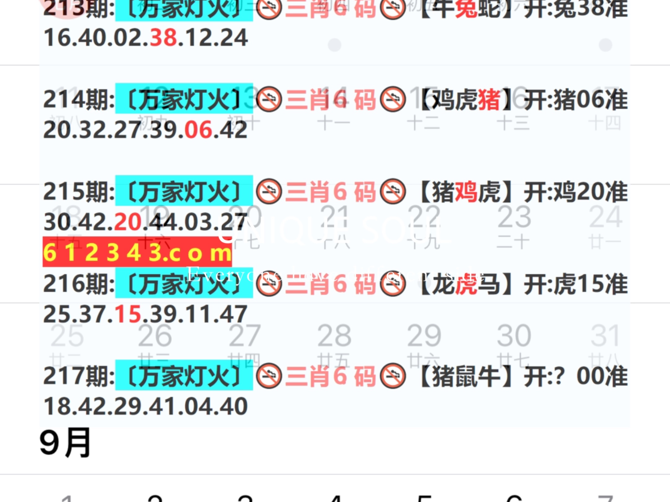 最新澳門彩票開獎結(jié)果解析，77777與88888的奧秘，澳門彩票開獎結(jié)果解析，揭秘77777與88888的奧秘