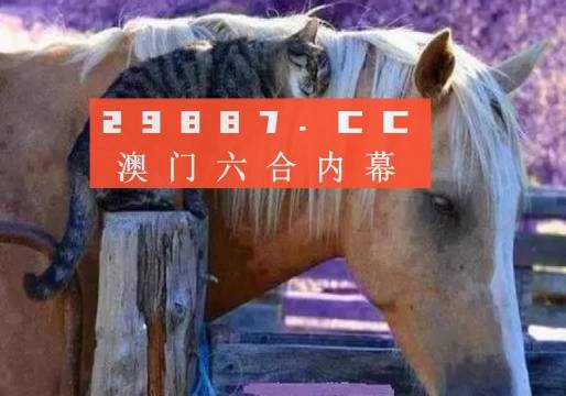 澳門一肖一碼一待一中四不像，探索與解析，澳門一肖一碼一待一中四不像，深度解析與探索