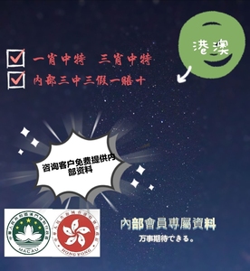新澳王中王一肖一特一中，探索與解析，新澳王中王一肖一特一中，深度探索與解析