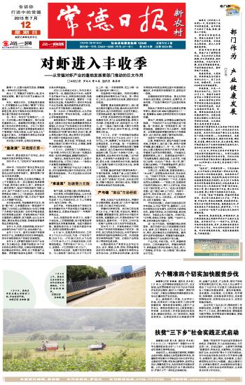 揭秘彩票背后的秘密，精準(zhǔn)四肖選擇策略與技巧，揭秘彩票背后的秘密，精準(zhǔn)四肖選擇策略與技巧揭秘