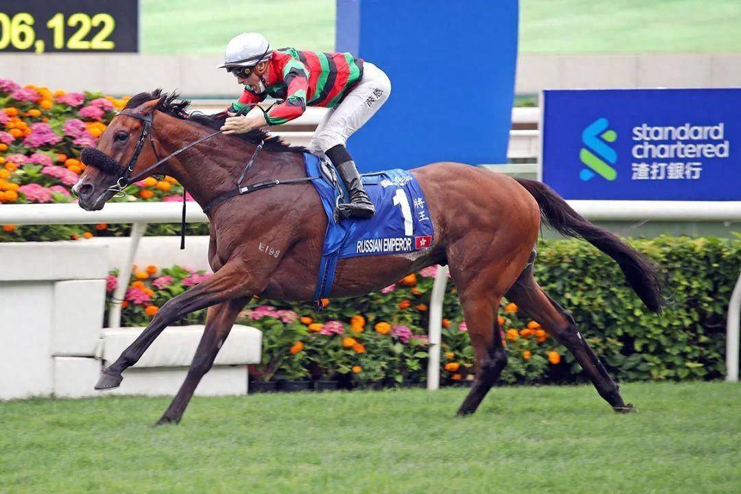 香港賽馬會，探索賽馬運(yùn)動的魅力與傳奇的7777788888賽道故事，香港賽馬會，探索賽馬運(yùn)動的魅力與傳奇賽道故事——7777788888賽道之旅