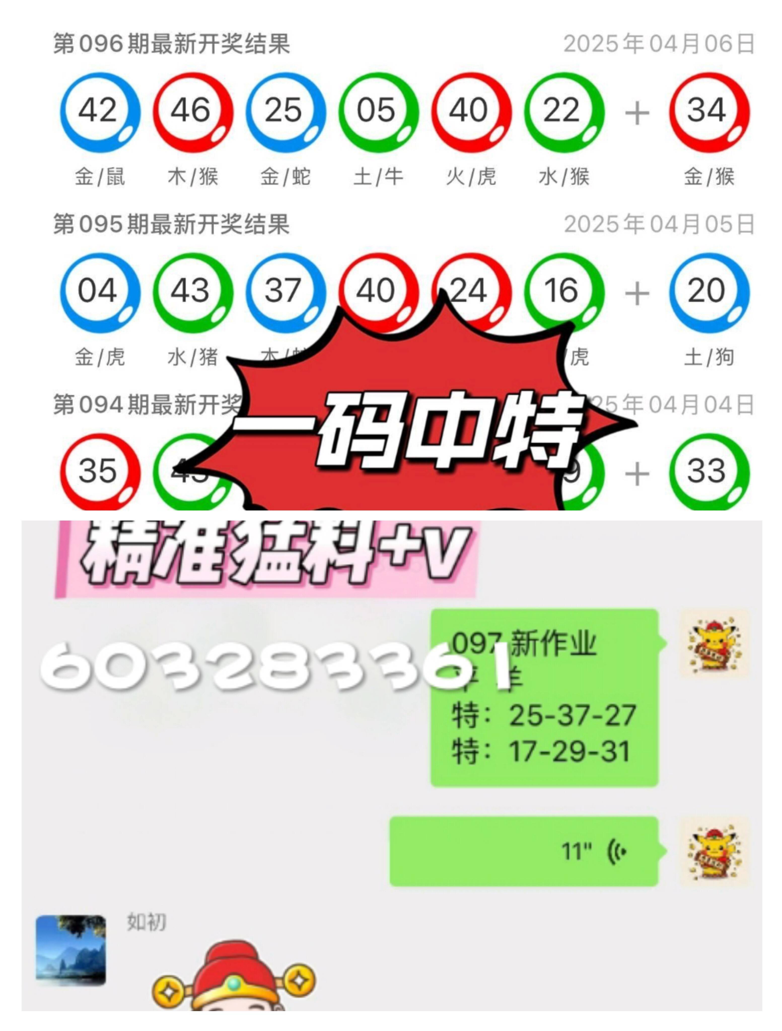 白小姐精選四肖八碼最新版本，揭秘與解析，白小姐精選四肖八碼最新揭秘與解析概覽
