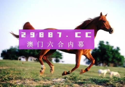 澳門一肖一碼一待一中資料，深度解析與探索，澳門一肖一碼深度解析與探索揭秘資料