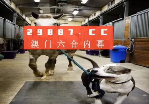 澳門(mén)一肖一碼一必中一肖，同舟前進(jìn)的奧秘與策略，澳門(mén)一肖一碼必中策略與前進(jìn)奧秘，同舟共濟(jì)的揭秘與策略