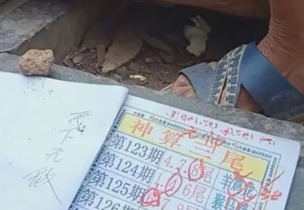 香港中特期期準(zhǔn)資料，深度解析與探索，香港中特期期準(zhǔn)資料深度解析與探索報告