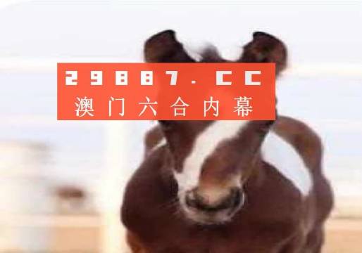 澳門一肖一碼狀元紅，揭秘彩票背后的秘密與策略，澳門彩票揭秘，狀元紅背后的秘密與策略解析