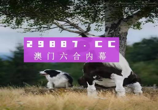 澳門天天空彩官網資料，探索彩票世界的門戶，澳門天天空彩官網資料，彩票世界探索門戶