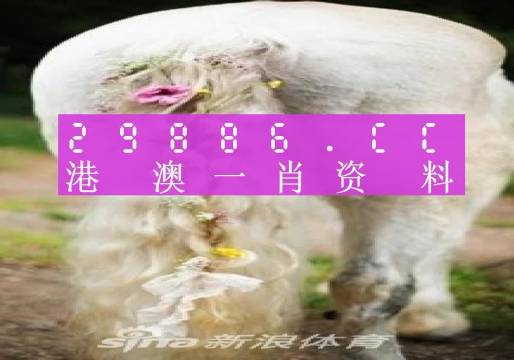 澳門(mén)羊了個(gè)羊與各大圖庫(kù)的資料揭秘，2023年澳門(mén)今晚必中一肖一碼永久免費(fèi)資料庫(kù)大解密，澳門(mén)羊了個(gè)羊與資料庫(kù)揭秘，2023年必中一肖一碼永久免費(fèi)資料大解密