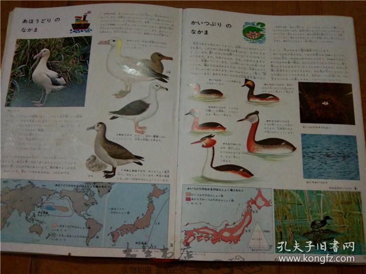 今日正版跑狗圖分享，探索7777788888跑狗圖的魅力，今日正版跑狗圖分享，探索魅力十足的777778跑狗圖