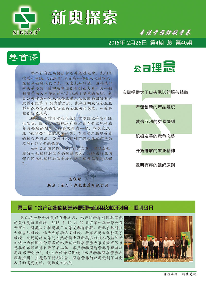 2025新澳正版資料查詢指南，2025新澳正版資料查詢手冊