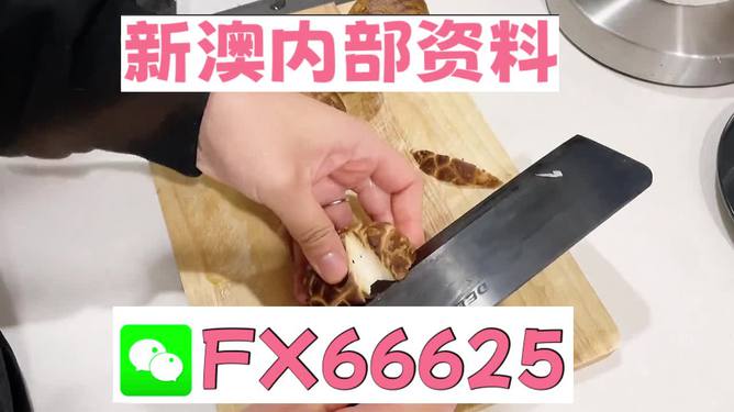 澳門九點(diǎn)半9點(diǎn)半網(wǎng)站——探索其魅力與優(yōu)勢(shì)，澳門九點(diǎn)半網(wǎng)站，魅力與優(yōu)勢(shì)探索