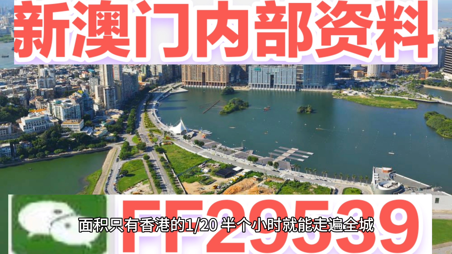 澳門特碼，探索其背后的秘密與魅力，澳門特碼背后的秘密與魅力探索