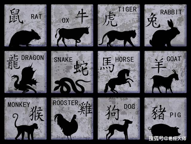 羊?；⒏鲾?shù)10的獨特魅力深度解析