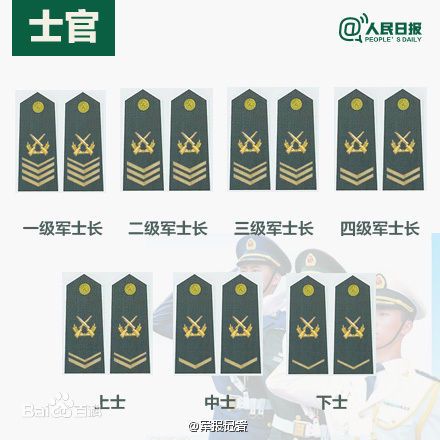 全球各國軍士長軍銜對照表及其重要性，全球各國軍士長軍銜對照表，揭示其重要性