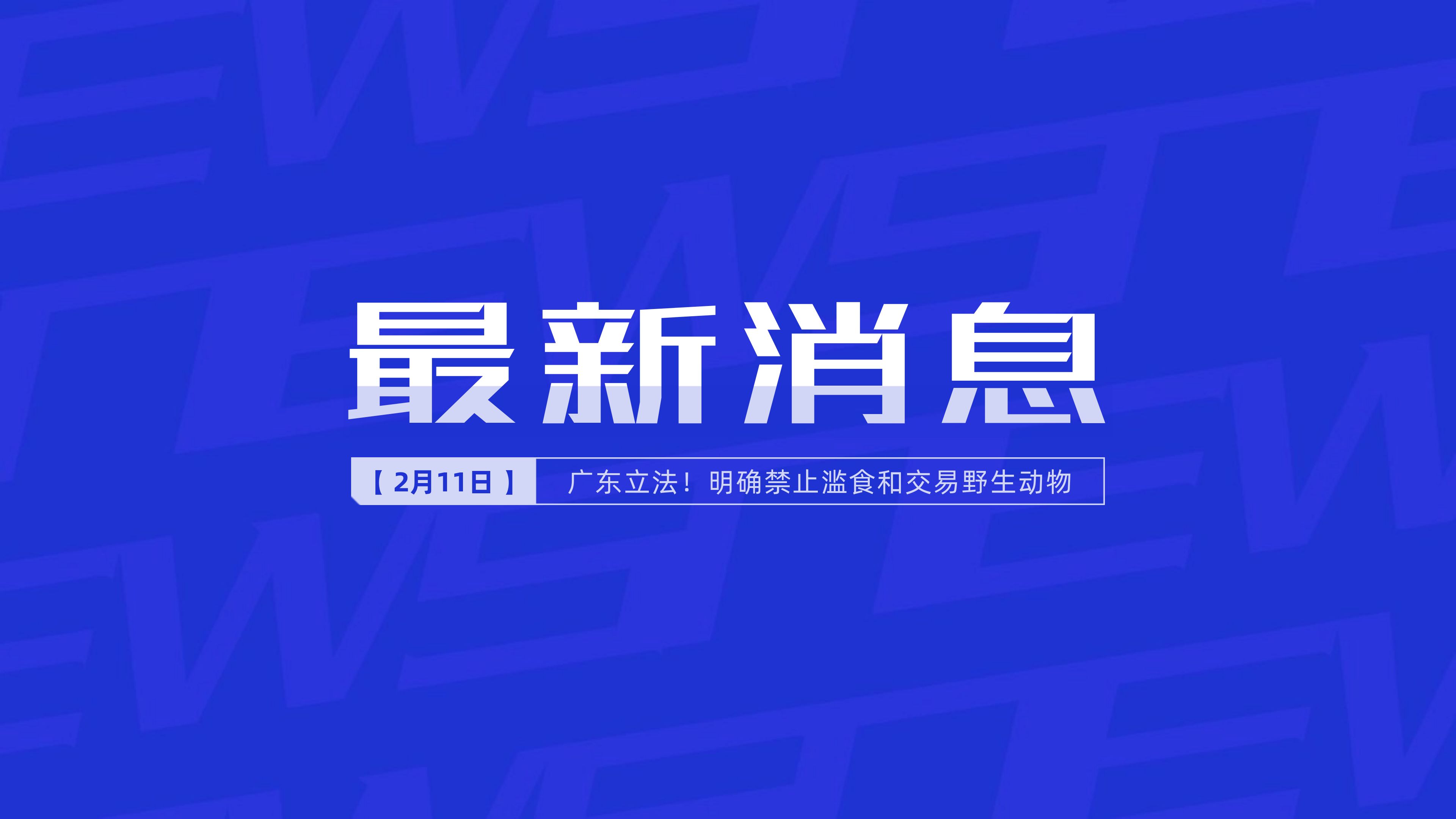 新聞最新新聞，掌握時(shí)事熱點(diǎn)，洞悉世界動(dòng)態(tài)，時(shí)事熱點(diǎn)速遞，掌握全球最新動(dòng)態(tài)新聞