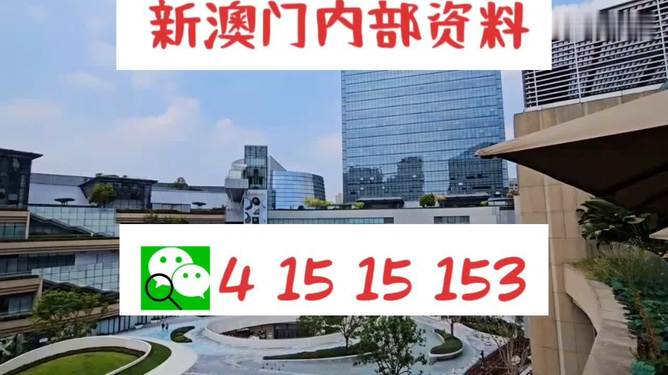 新澳門單雙，探索數(shù)字世界的奧秘與魅力，澳門數(shù)字世界的奧秘與魅力探索，單雙數(shù)的奇幻之旅