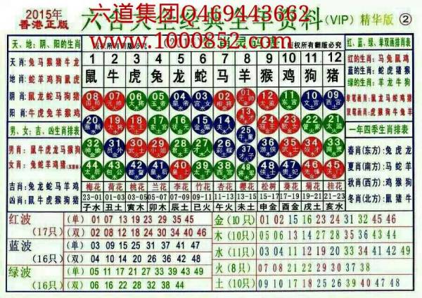 揭秘2024十二生肖49碼表——完整指南，揭秘十二生肖49碼表全攻略，2024年最新版指南