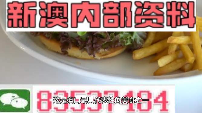 新澳2024生肖最新資料解析與預(yù)測(cè)，新澳2024生肖解析與預(yù)測(cè)報(bào)告