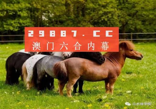 王中王四不像正版一肖中特圖，揭秘背后的秘密與獨特魅力，揭秘王中王四不像正版一肖中特圖的獨特魅力和背后秘密