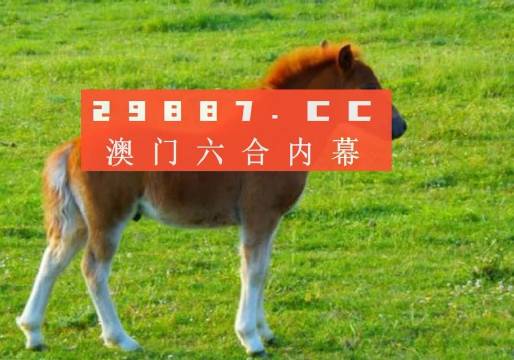 澳門答家婆一肖一馬一中一特，揭秘背后的秘密與獨(dú)特文化魅力，澳門文化魅力深度解析，答家婆一肖一馬一中一特的獨(dú)特傳統(tǒng)與秘密