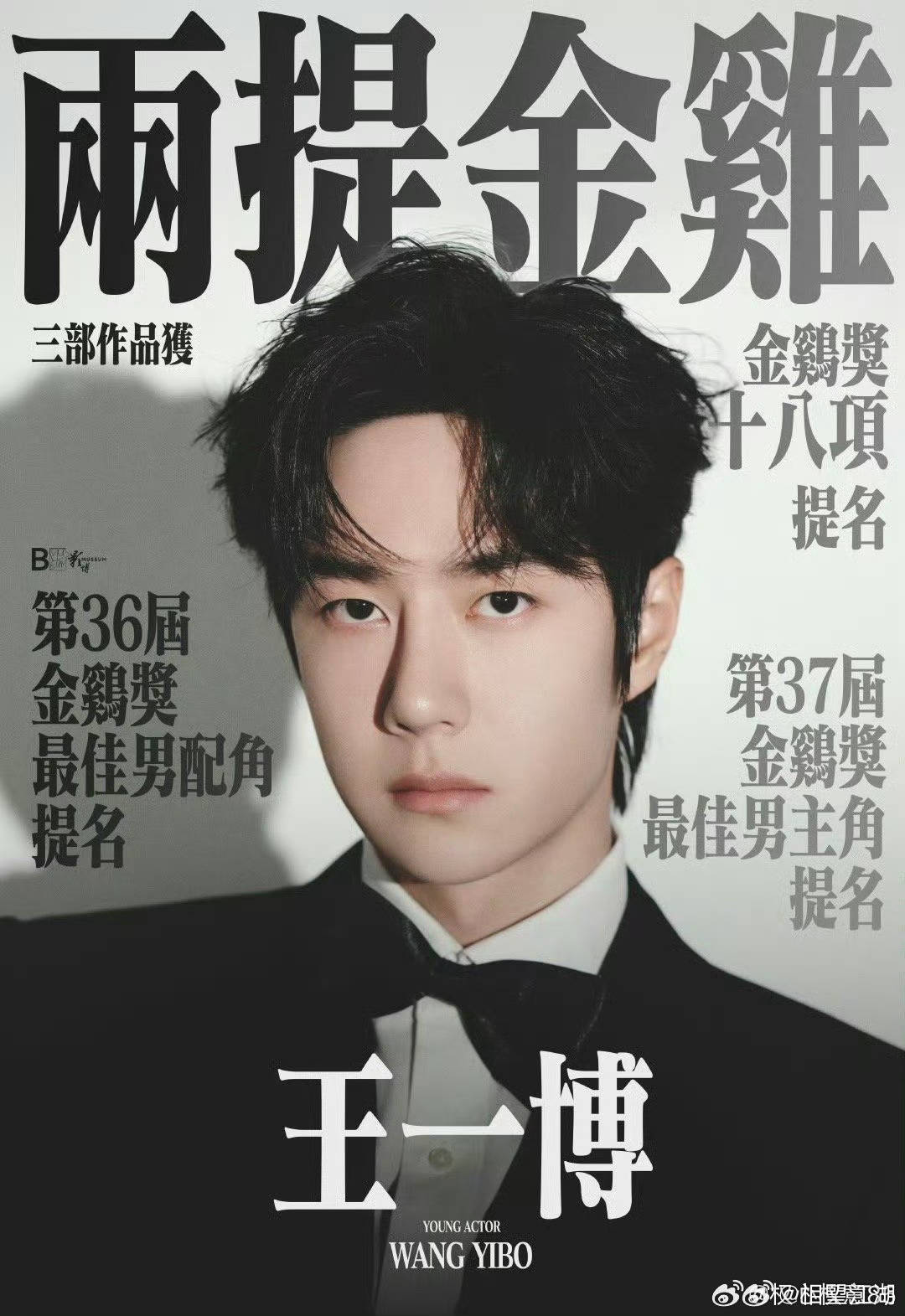 王中王一肖中特論特，深度解析與SEO洞察，深度解析王中王一肖中特論特與SEO洞察