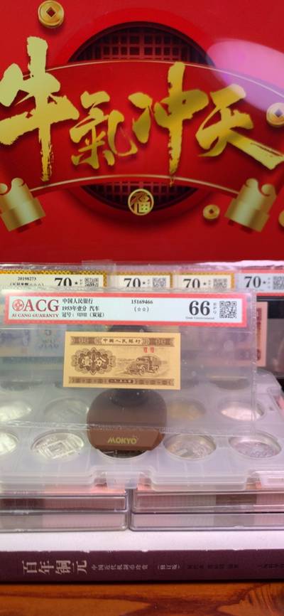 王中王致家一肖，解析背后的故事與奧秘，揭秘王中王致家一肖背后的故事與奧秘