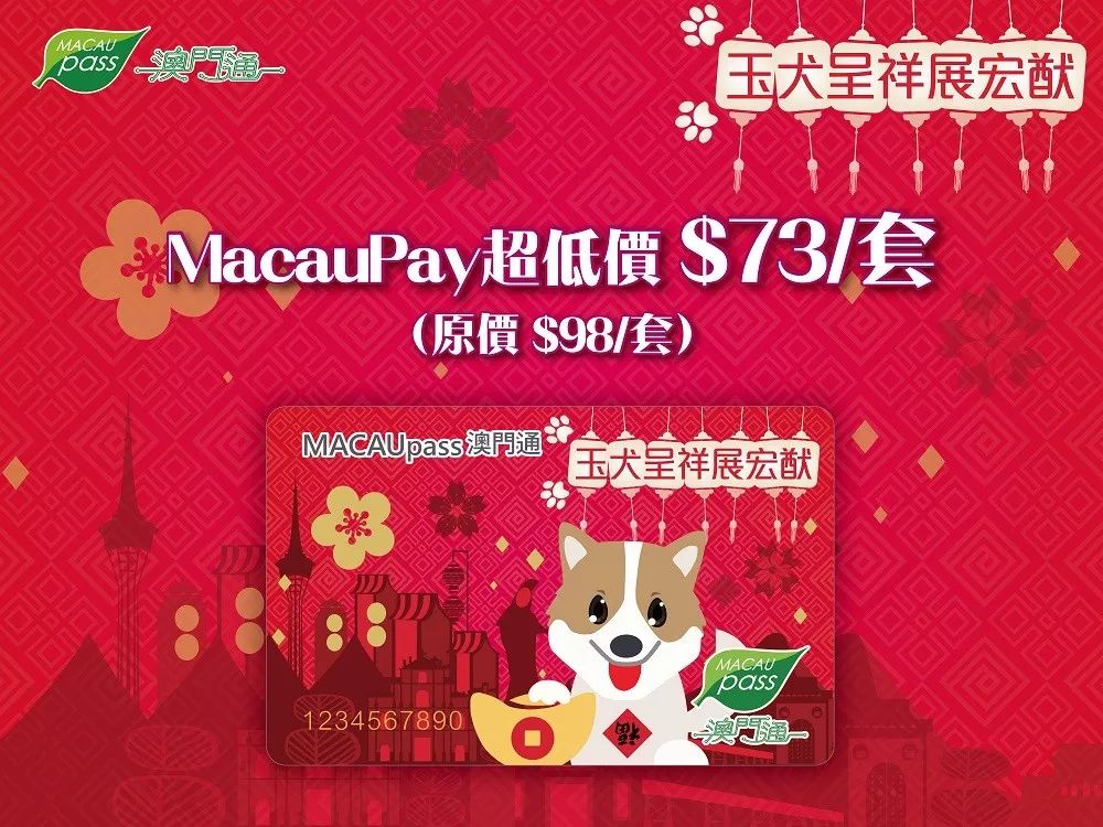 澳門生肖卡，探索未來的趨勢(shì)與機(jī)遇（2025年展望），澳門生肖卡，未來趨勢(shì)與機(jī)遇展望（2025年）