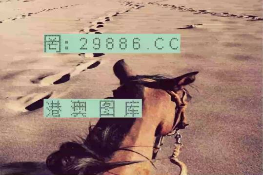 香港特馬資料王中王24期，深度解析與探索，香港特馬資料王中王深度解析與探索，第24期探索之旅