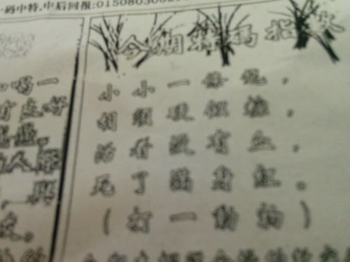 揭秘劉伯溫平特一肖圖——探尋神秘預(yù)測背后的真相，揭秘劉伯溫平特一肖圖，神秘預(yù)測背后的真相探索