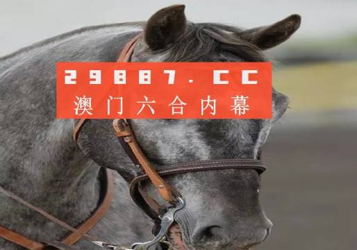 今晚澳門精準一肖一馬預測，揭秘生肖與馬匹的神秘聯(lián)系，揭秘生肖與馬匹的神秘聯(lián)系，澳門精準一肖一馬預測今晚揭曉