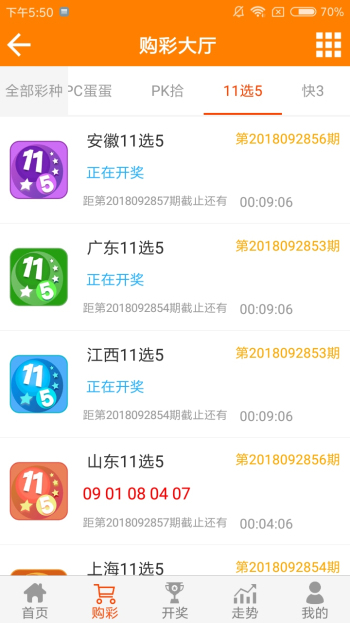 王中王黃金一肖二碼資料，深度解析與SEO優(yōu)化，王中王黃金一肖二碼資料深度解析與SEO優(yōu)化技巧