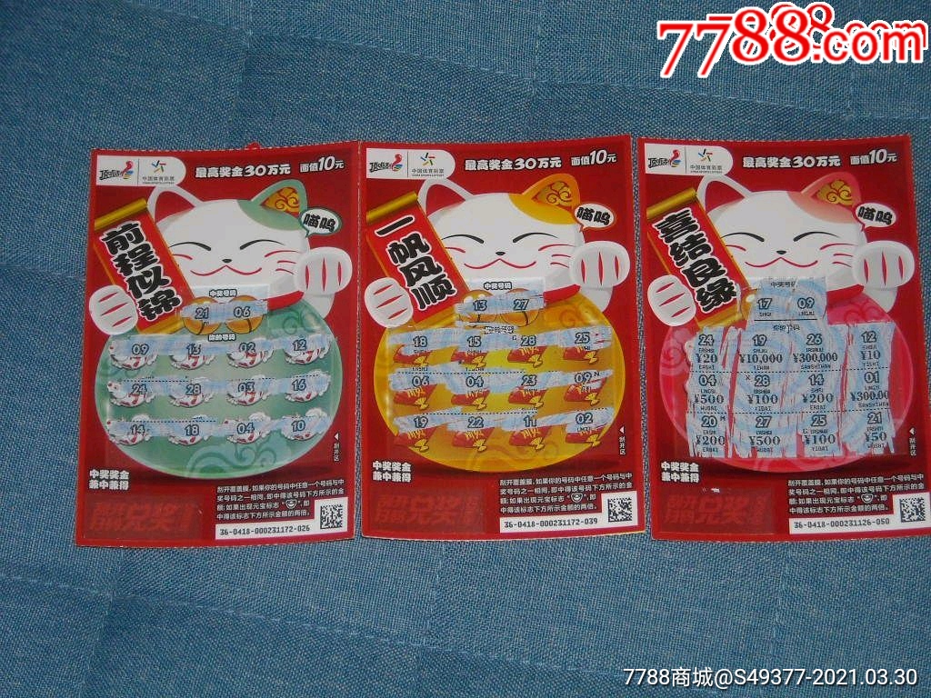 揭秘王中王資料一肖中特y招財貓，真相與秘密，揭秘王中王資料與招財貓，真相與秘密探索