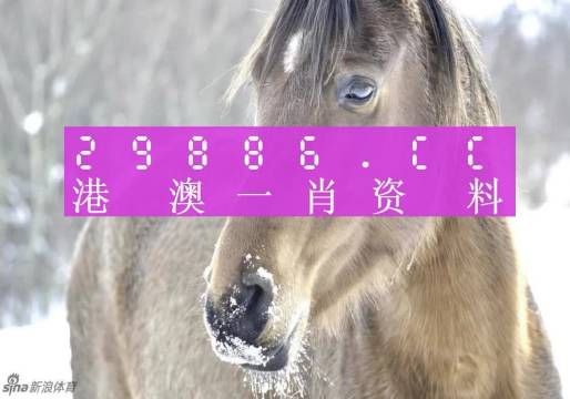 澳門一肖一碼背后的故事，一個關(guān)于精準預測與傳奇的揭秘，澳門一肖一碼傳奇背后的精準預測與揭秘之旅