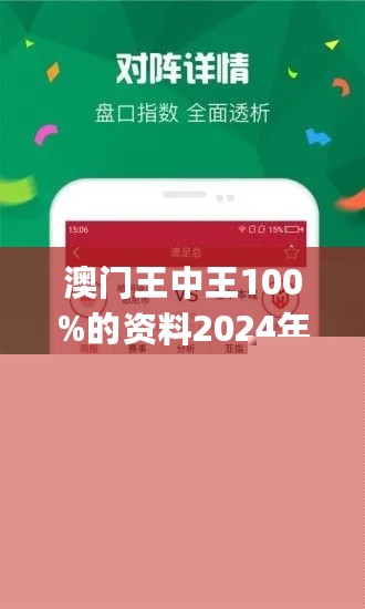 王中王網(wǎng)站一肖，探索與SEO優(yōu)化策略，王中王網(wǎng)站一肖，深度探索與SEO優(yōu)化策略實(shí)踐