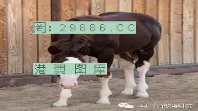 揭秘446999一肖中特馬之秘密，掌握中獎(jiǎng)玄機(jī)！，揭秘特馬中獎(jiǎng)玄機(jī)，446999一肖中的秘密大揭秘！