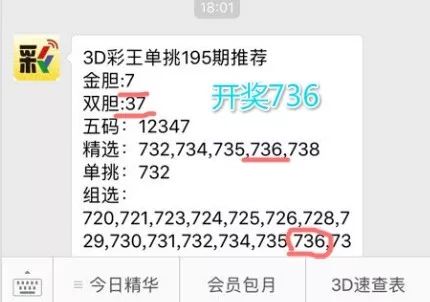 王中王一肖中特4993，深度解析與探索，王中王一肖中特4993深度解析與探索報告