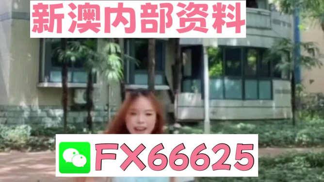 香港內(nèi)部精準(zhǔn)資料一碼，揭秘與深度解析，香港內(nèi)部精準(zhǔn)資料一碼揭秘與深度剖析