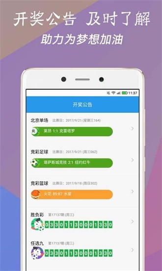 澳門今一必中一肖一碼一肖，揭秘彩票背后的秘密與策略，揭秘彩票背后的秘密與策略，澳門今一必中一肖一碼一肖探秘