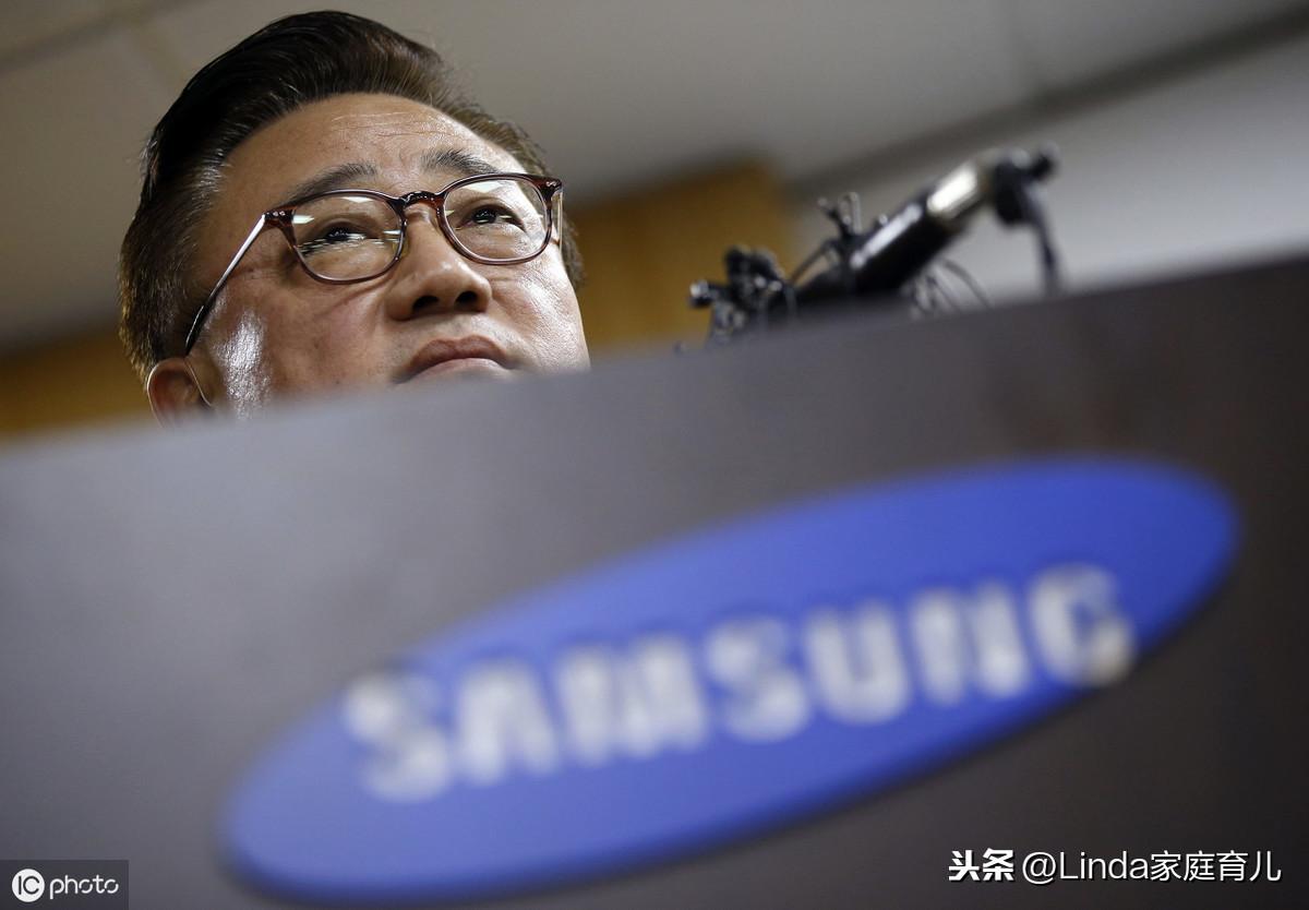 王中王86期指一生肖，深度解析與預測，王中王86期生肖深度解析與預測，揭秘生肖運勢走向