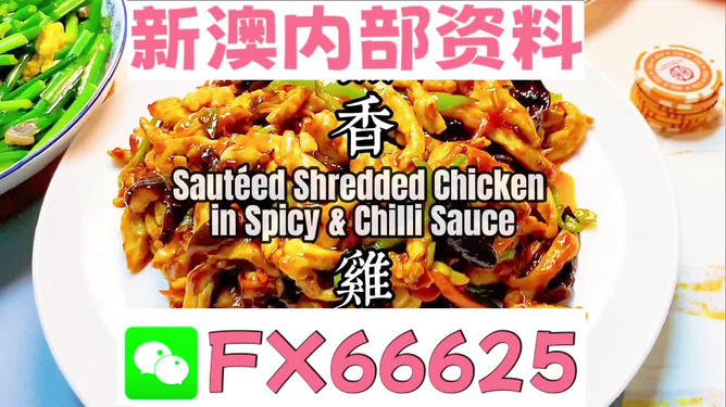 新奧天天精準(zhǔn)資料大全，全方位解讀與應(yīng)用指南，新奧天天精準(zhǔn)資料大全，全方位解讀與應(yīng)用指南手冊