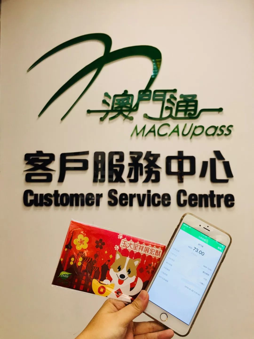 澳門正版資料大全資料生肖卡，探索與解析，澳門正版資料大全生肖卡解析與探索