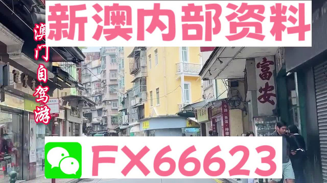 新澳精準(zhǔn)資料免費提供，一站式獲取優(yōu)質(zhì)信息資源的指南，新澳精準(zhǔn)資料免費獲取，一站式優(yōu)質(zhì)信息資源指南
