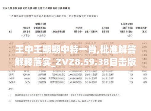 王中王一肖期期中，揭秘背后的秘密與策略，揭秘王中王一肖期期中的秘密策略與成功之道