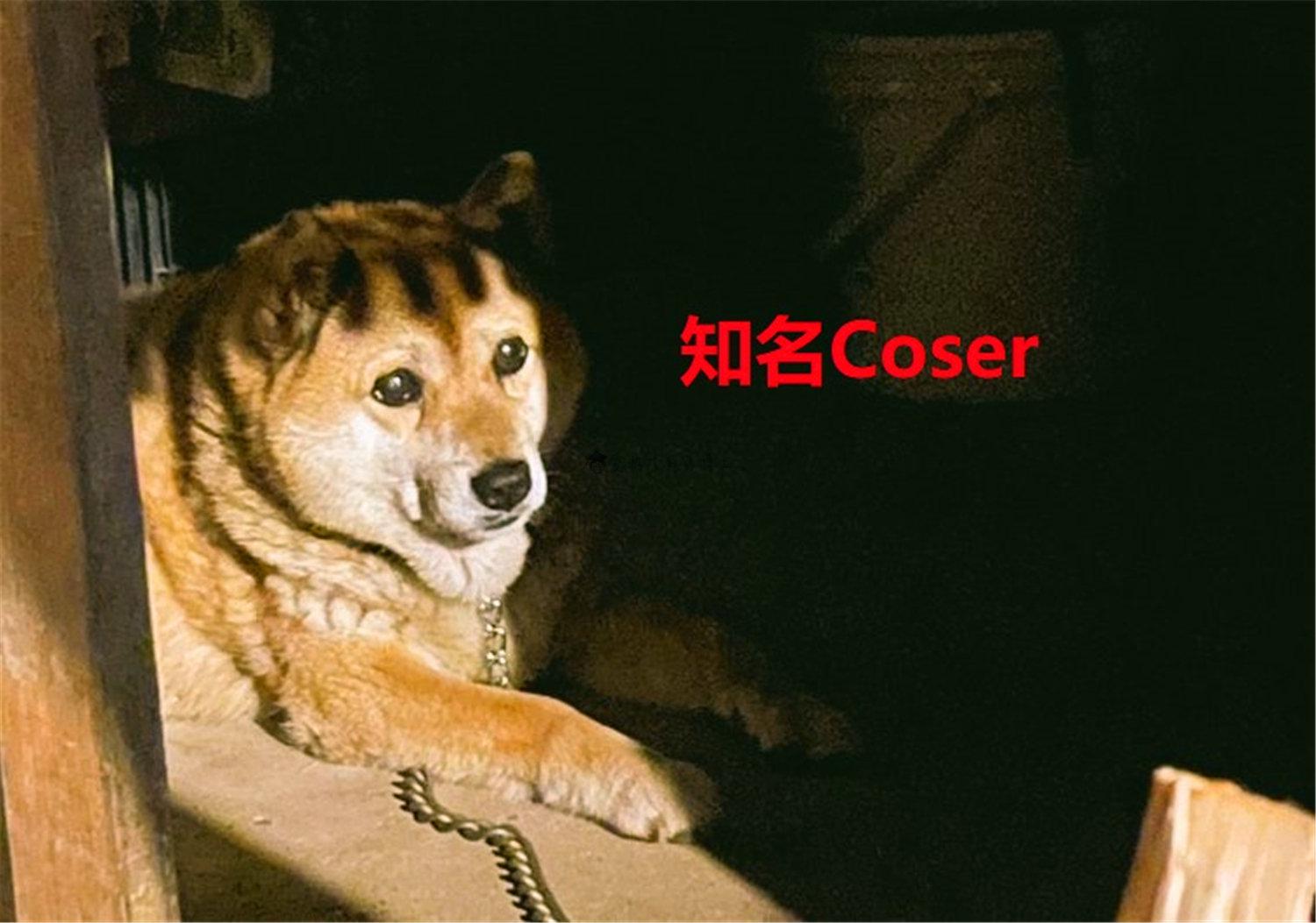 豬狗同行王中王，猜一肖，深度解析與SEO優(yōu)化，豬狗同行王中王猜謎解析與SEO優(yōu)化技巧，深度解析揭秘生肖之謎