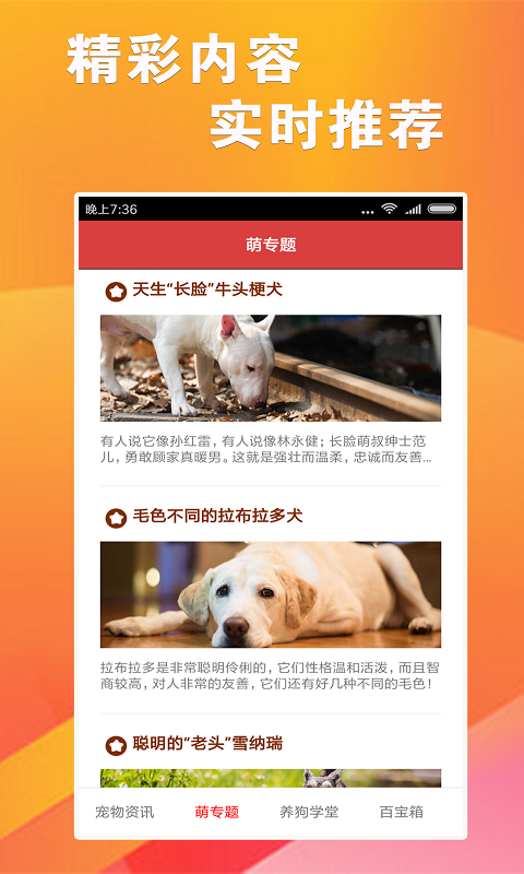 7777788888跑狗軟件免費下載指南，7777788888跑狗軟件免費下載指南大全