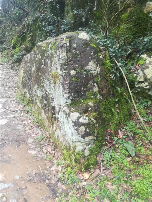 揭秘四不像劉伯溫一肖圖——探尋背后的神秘故事與SEO奧秘，揭秘四不像劉伯溫一肖圖背后的神秘故事與SEO奧秘探索