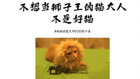 王中王013期指一生肖——探尋背后的秘密與奧秘，王中王013期生肖揭秘，探尋背后的秘密與奧秘之旅