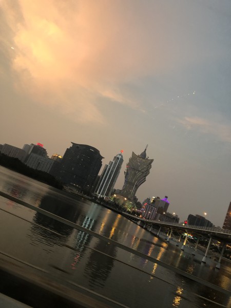 澳門今晚必開一肖一特，深度解析與預(yù)測，澳門今晚生肖特碼深度解析與預(yù)測，一肖一特必開趨勢探討