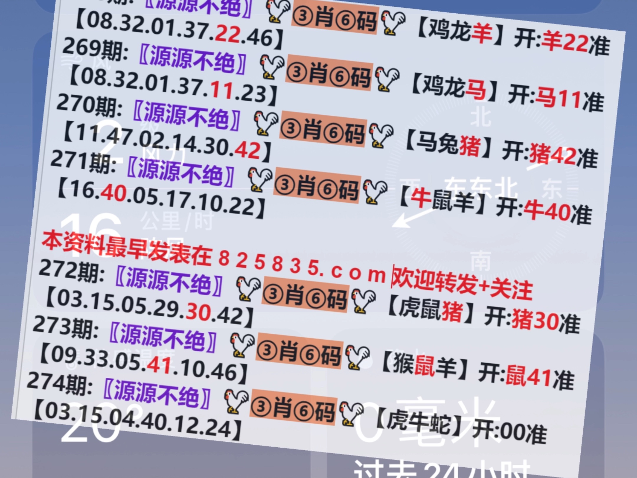 澳門一肖一碼開獎結(jié)果，揭秘彩票背后的秘密，澳門彩票開獎結(jié)果揭秘，一肖一碼背后的秘密